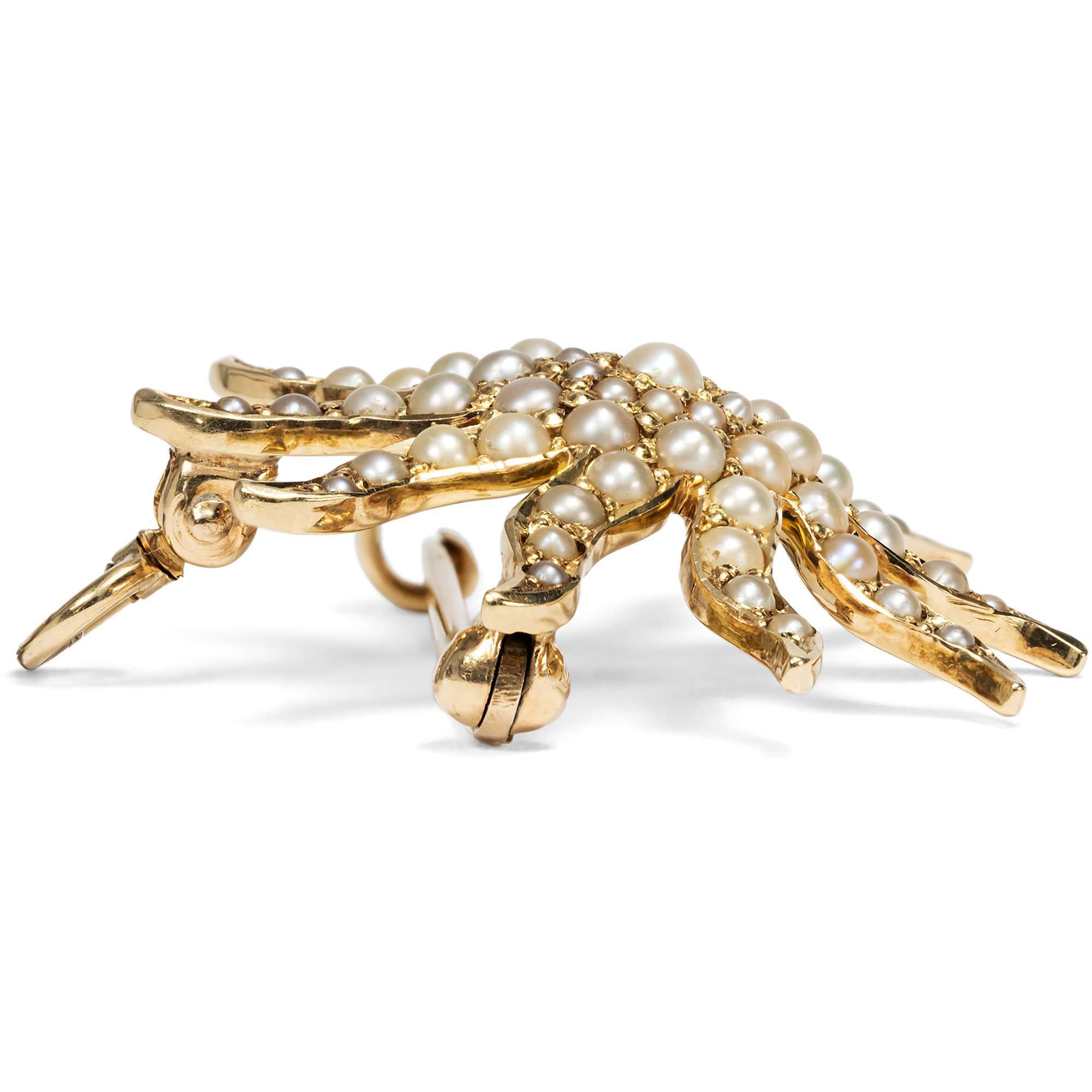 626827-hofer-antikschmuck-Bezaubernde-Anhaenger-Brosche-mit-Naturperlen-in-Gold-wohl-USA-um-1880-Sunburst_1