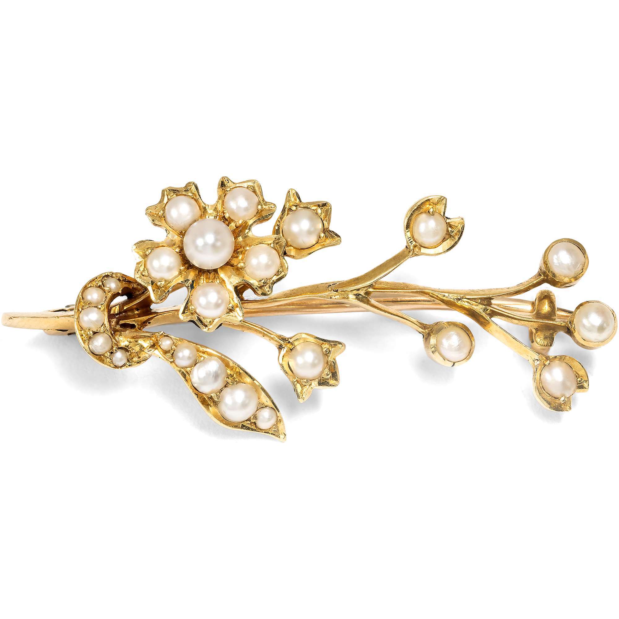 626833-hofer-antikschmuck-Viktorianische-Brosche-mit-Naturperlen-in-Gold-um-1900-Meeresblueten