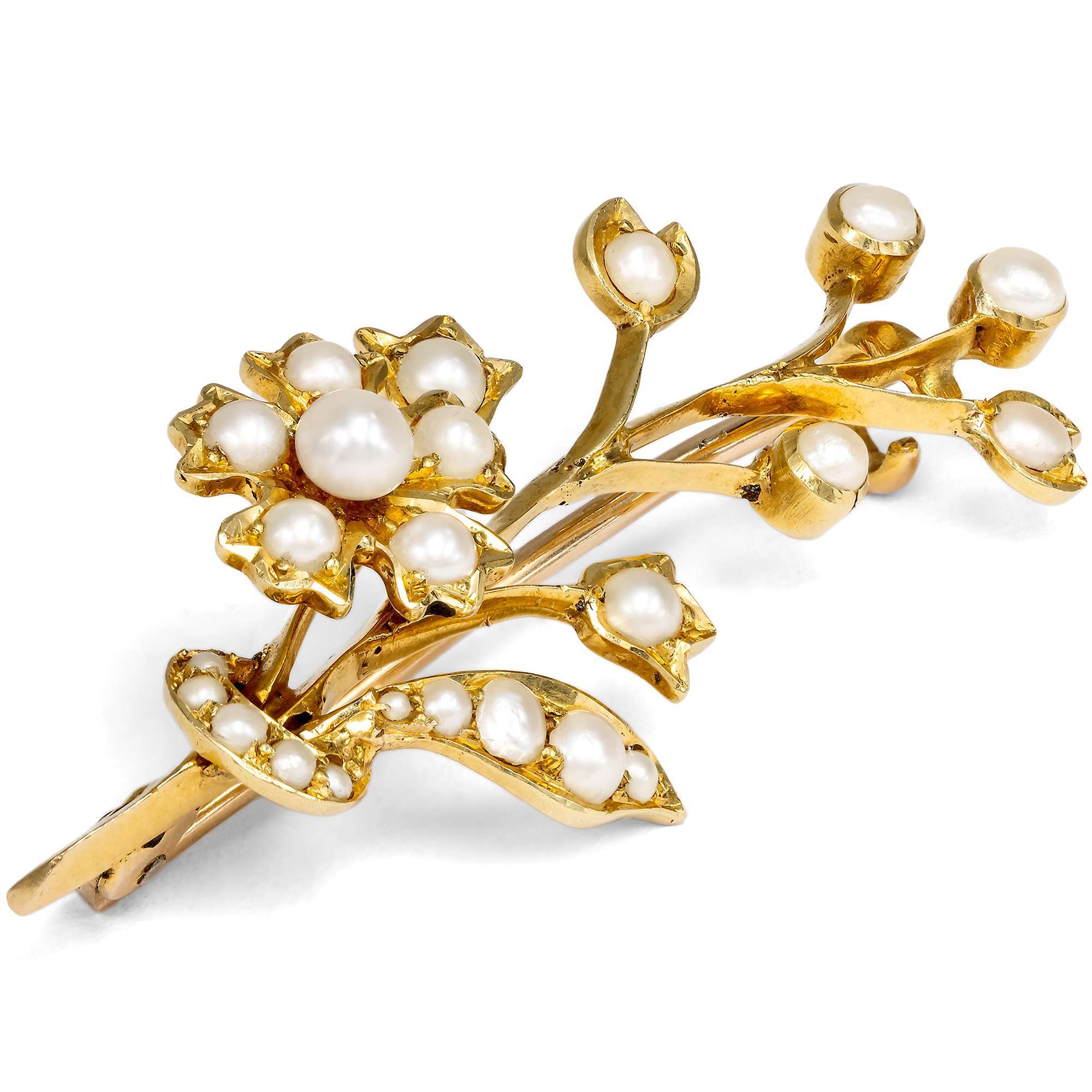 626833-hofer-antikschmuck-Viktorianische-Brosche-mit-Naturperlen-in-Gold-um-1900-Meeresblueten_2