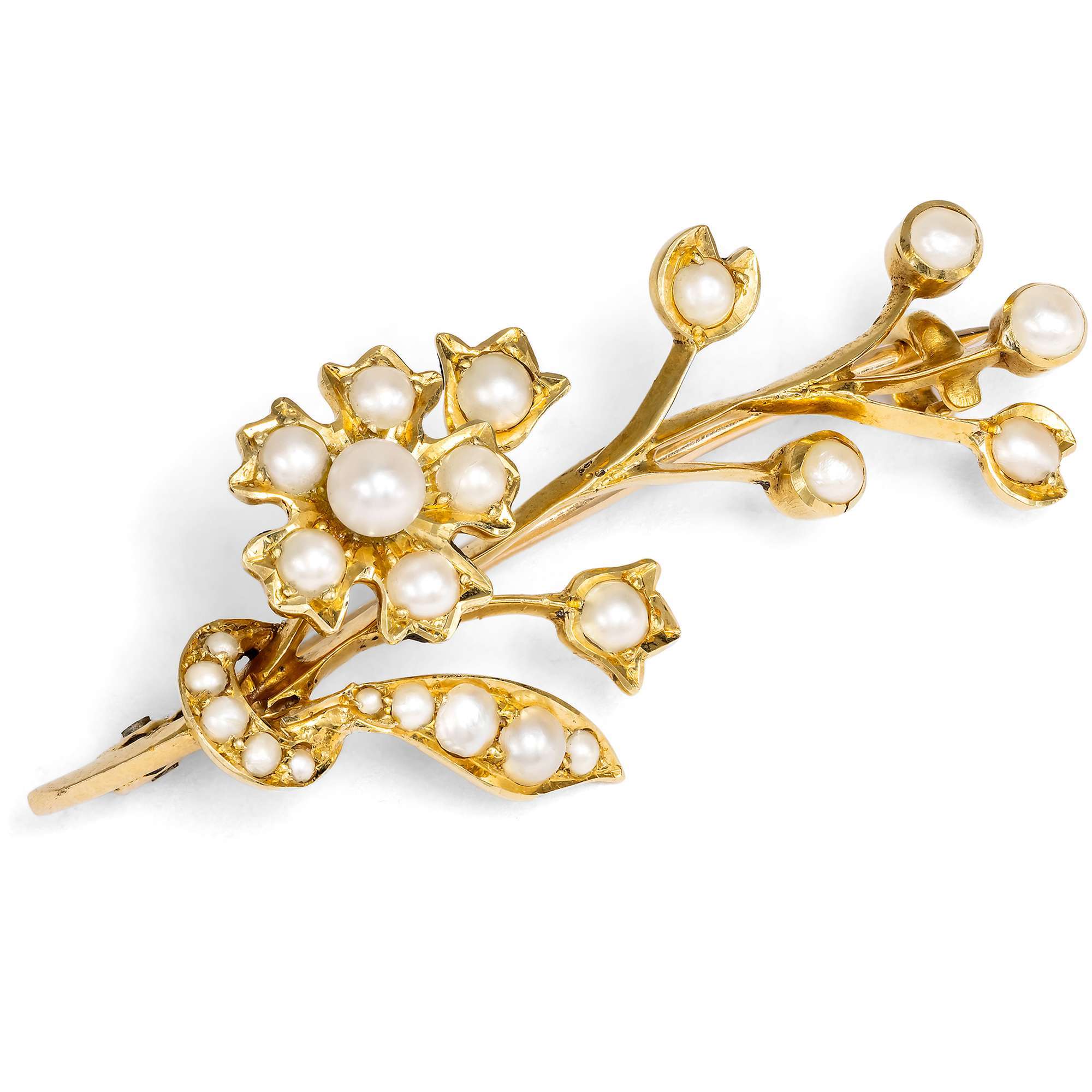 626833-hofer-antikschmuck-Viktorianische-Brosche-mit-Naturperlen-in-Gold-um-1900-Meeresblueten_4